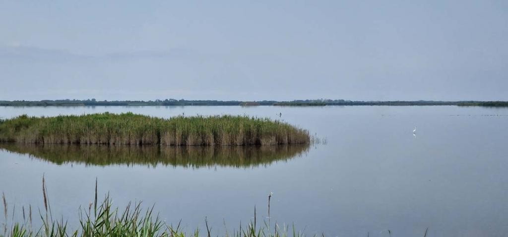 La Camargue