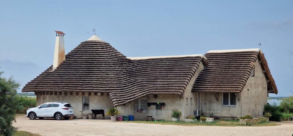 La Camargue