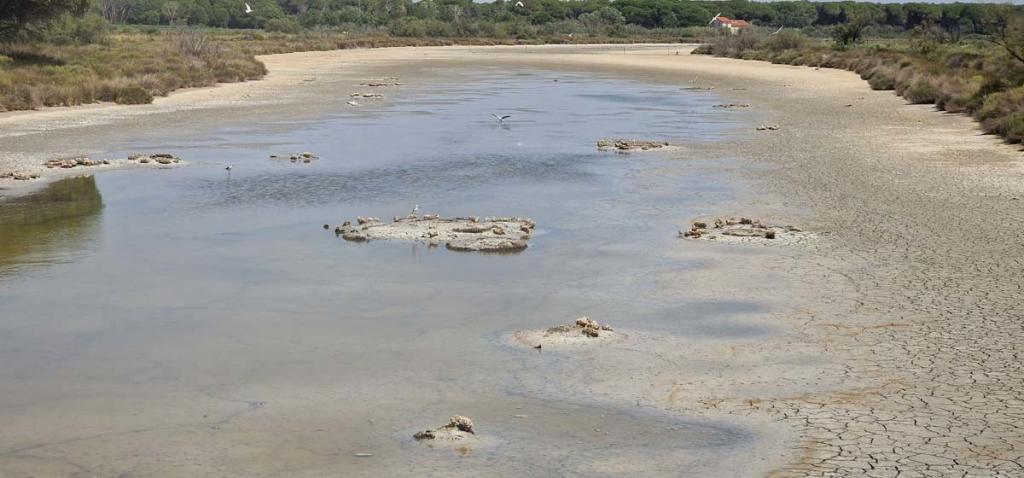 La Camargue