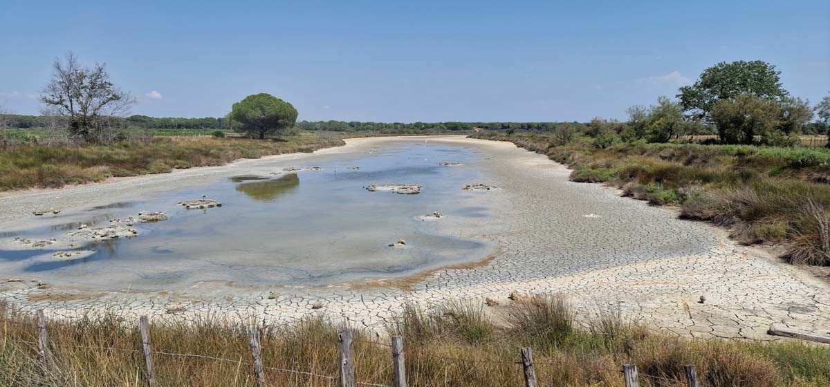 La Camargue