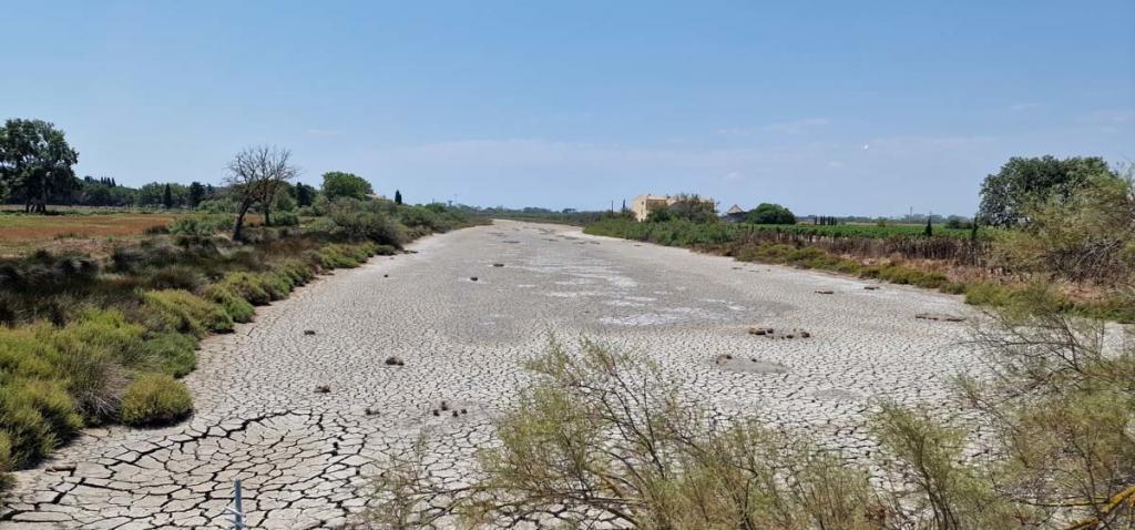 La Camargue