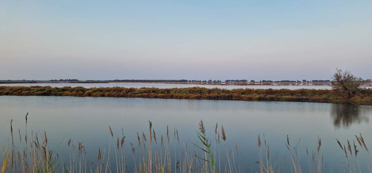 La Camargue