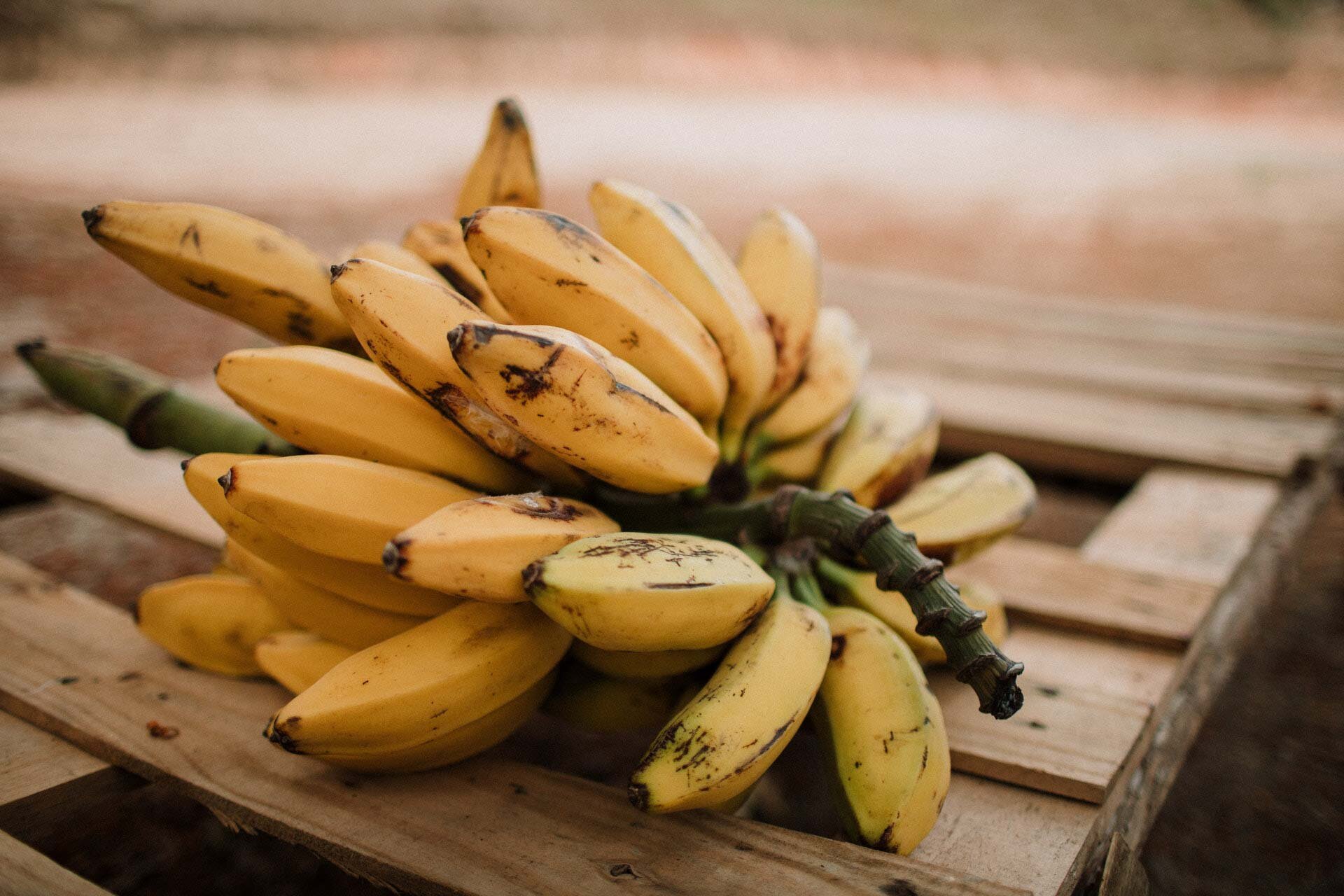 Bananes