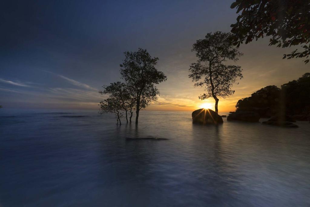 Island