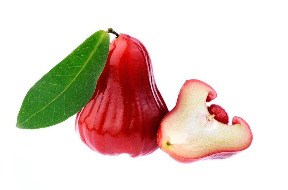 Rose-Pomme