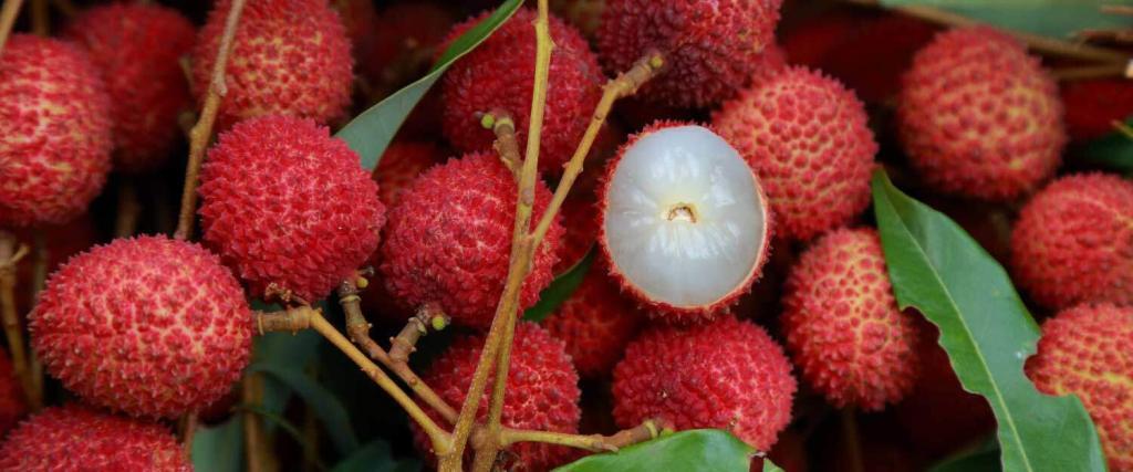 lychee