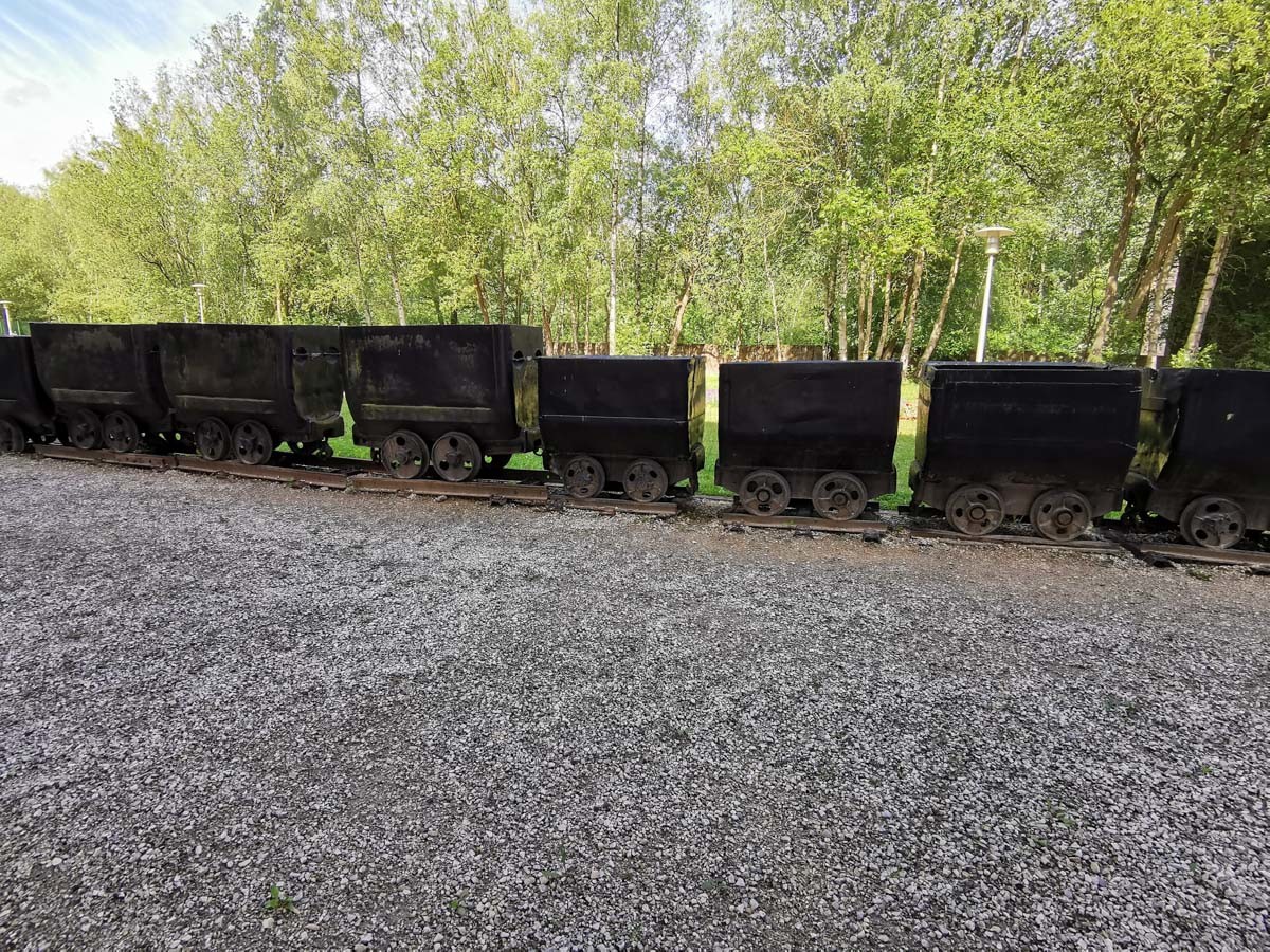 Bois du Cazier