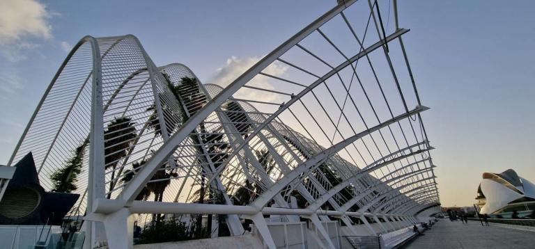 umbracle