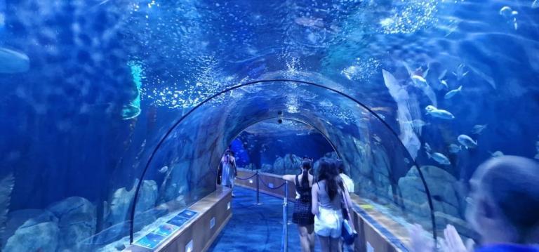 Aquarium