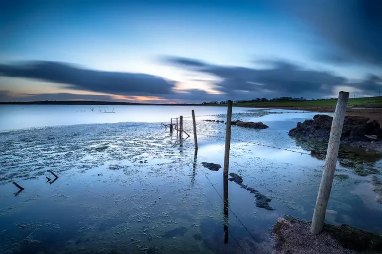 Blue Hour
