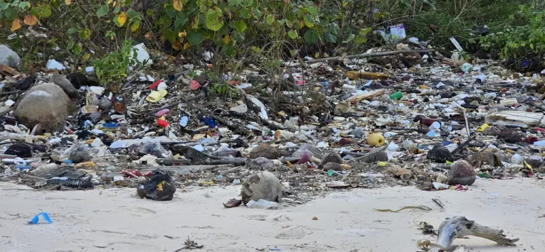 Pollution des mers