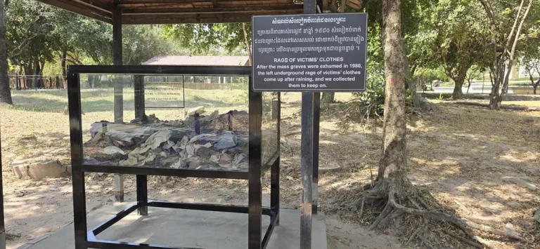 Killing fields