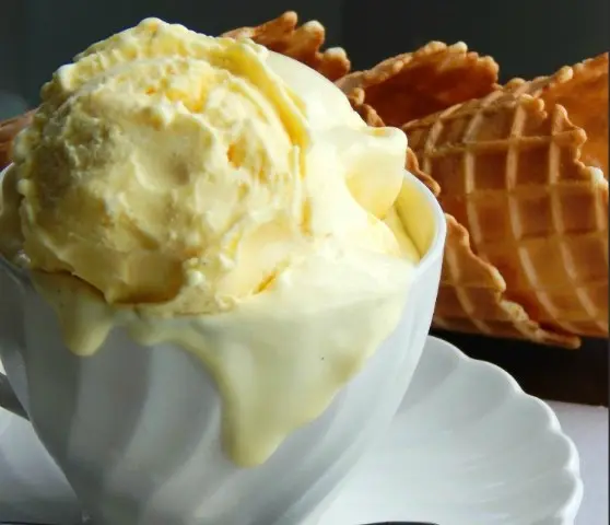 Glace vanille maison